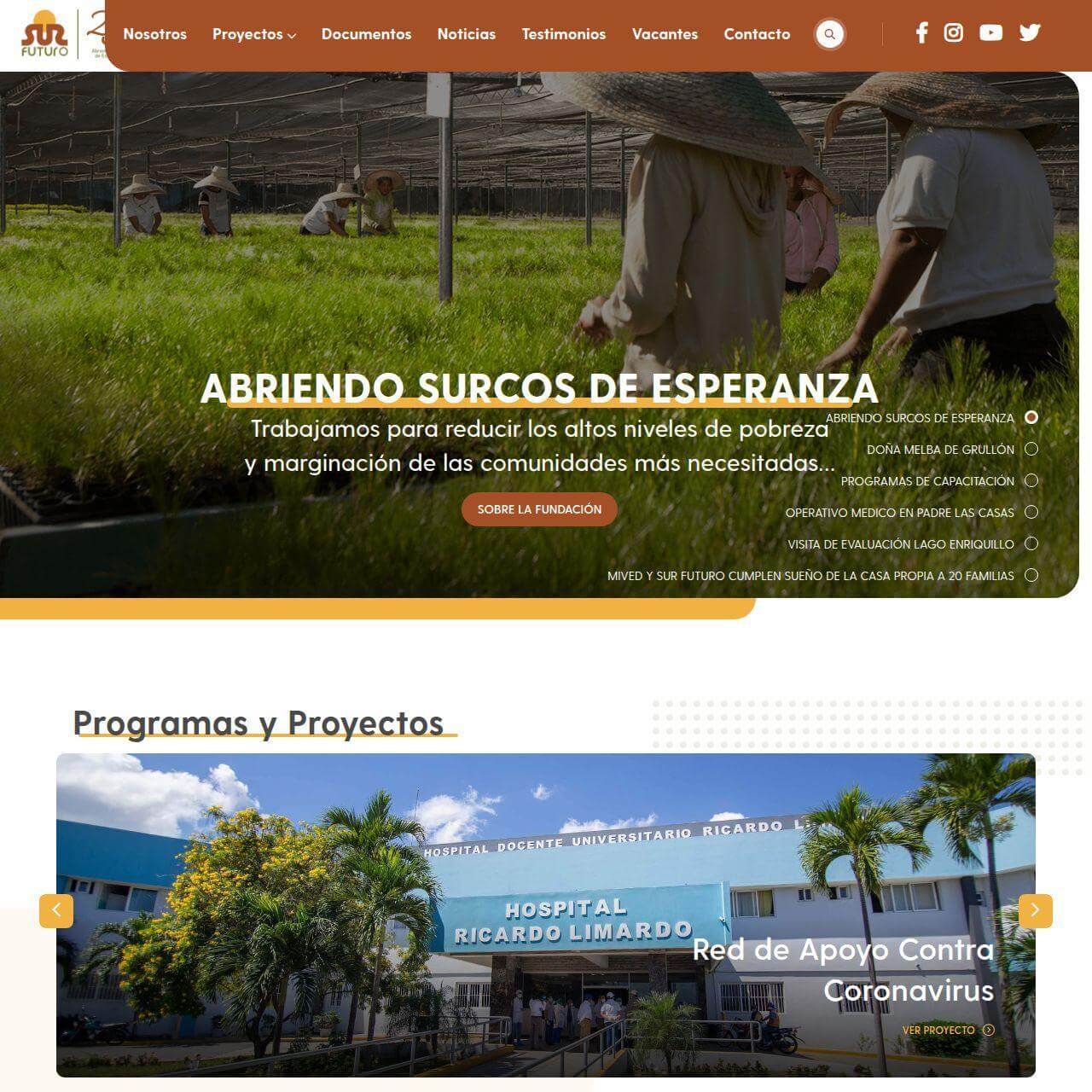 Fundación Sur Futuro — Sitio institucional de una de las fundaciones más relevantes del sur de RD.